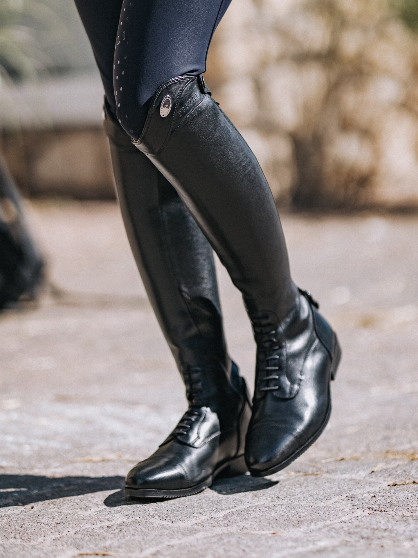 ✨ New year, new rides — with style and performance that carry you forward. Happy 2026! 🐎🥂

 #Prevalli#equestrianboot#equineboot#equestriansport