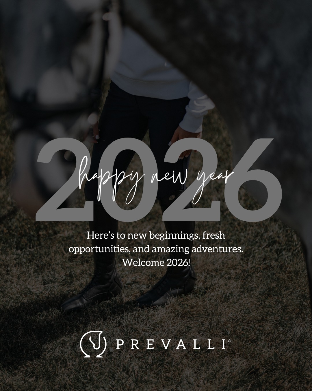 ✨ Cheers to 2026!
New goals. New rides. New moments in and out of the saddle 🐴💥
Let’s make this year our best one yet!

#Prevalli #NewYearNewGoals #EquestrianStyle