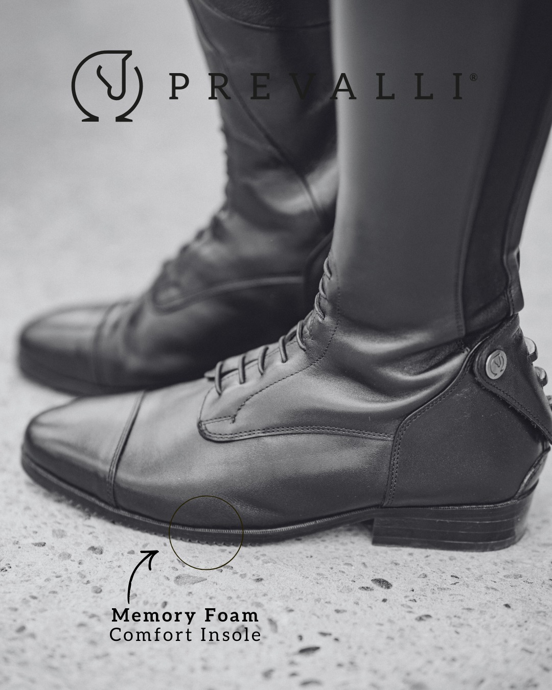 EN: 
The contoured fit, memory foam insole, and patented knee padding ensure lasting comfort through long training sessions or show days. 🔥

DE:
Die konturierte Passform, die Memory-Foam-Komforteinlegesohle und die patentierte Polsterung im Kniekehlenbereich sorgen für anhaltenden Tragekomfort – selbst bei langen Trainingseinheiten oder Turniertagen. 🔥

#ridingboot#equineboots